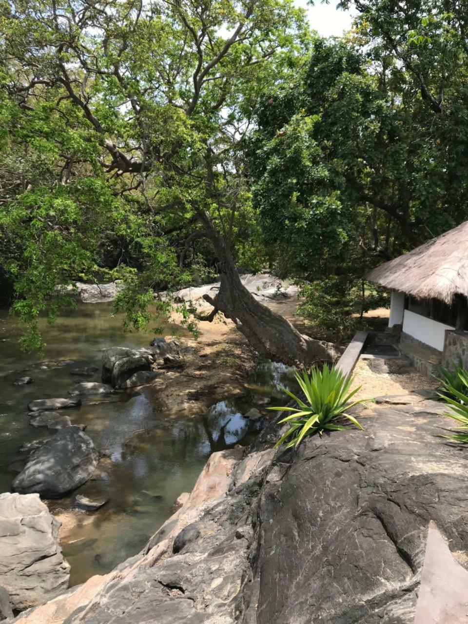 Galapita Eco Lodge Buttala Exterior photo