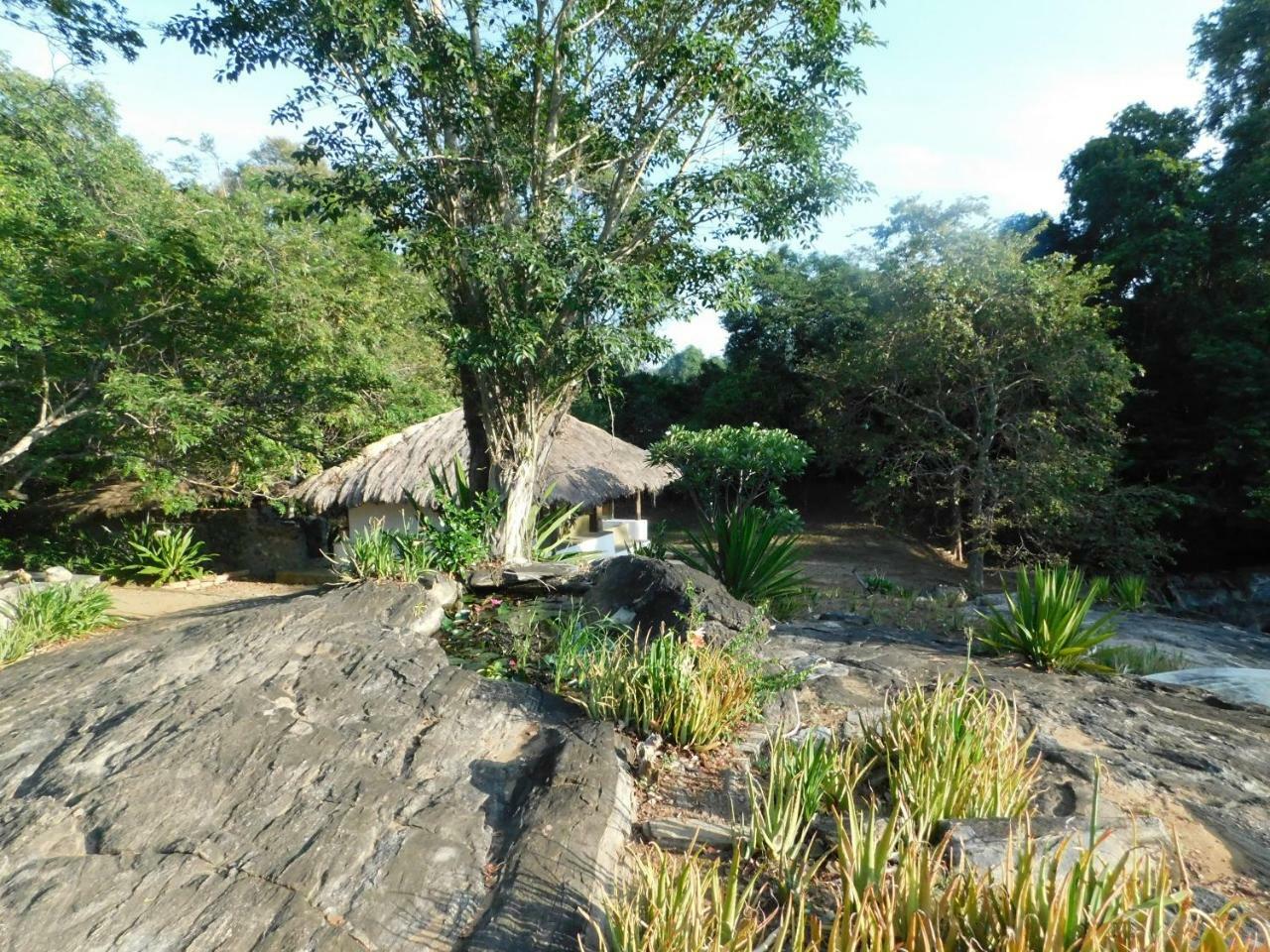 Galapita Eco Lodge Buttala Room photo