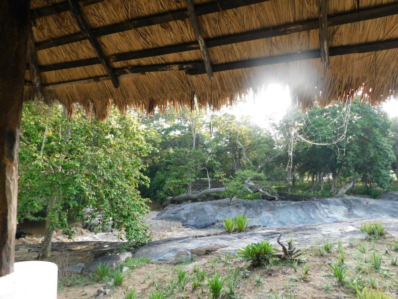 Galapita Eco Lodge Buttala Room photo